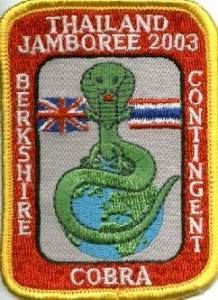 special COBRA badges