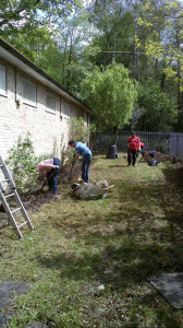 Cleaning up at the Hut - we have grass!